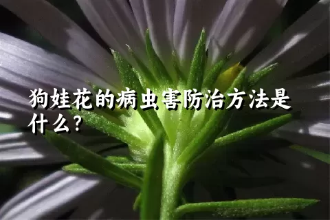 狗娃花的病虫害防治方法是什么？