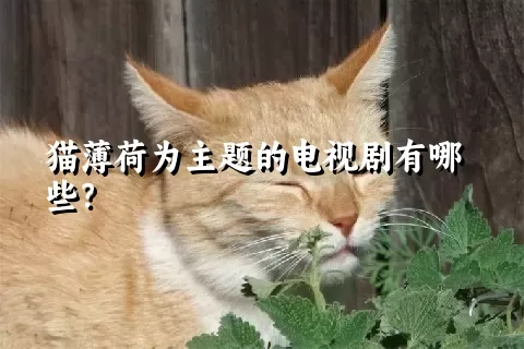 猫薄荷为主题的电视剧有哪些？