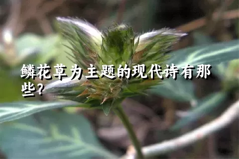 鳞花草为主题的现代诗有那些？