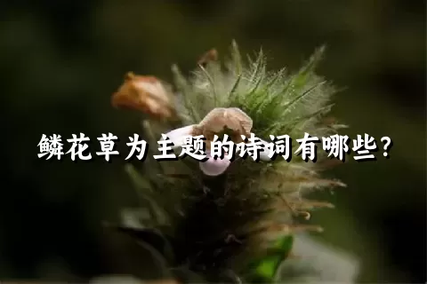 鳞花草为主题的诗词有哪些？