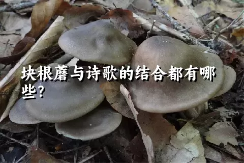 块根蘑与诗歌的结合都有哪些？