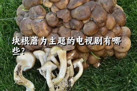 块根蘑为主题的电视剧有哪些？