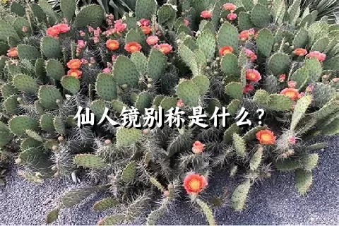 仙人镜别称是什么？