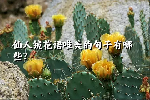 仙人镜花语唯美的句子有哪些？