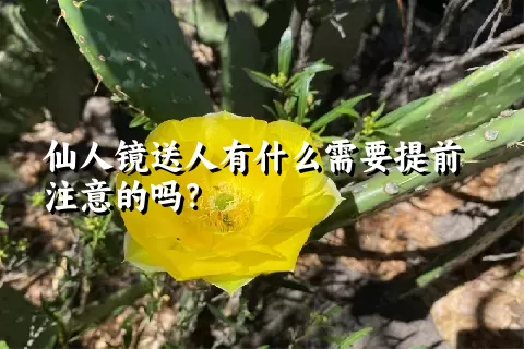 仙人镜送人有什么需要提前注意的吗？