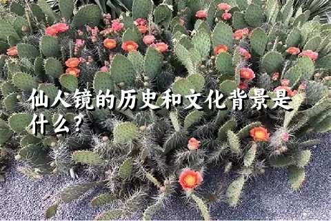 仙人镜的历史和文化背景是什么？