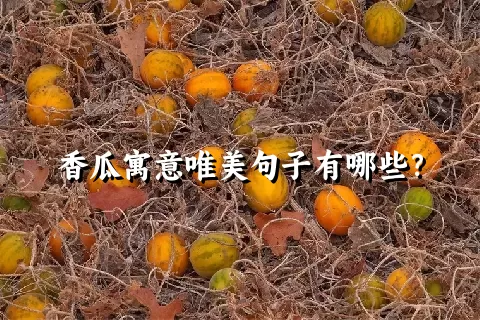 香瓜寓意唯美句子有哪些？