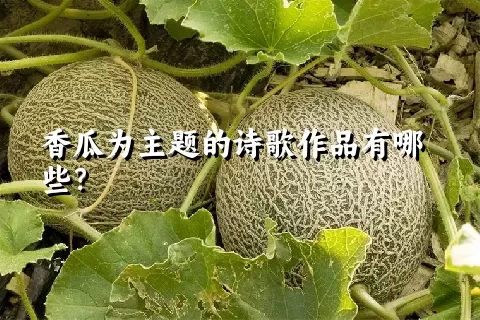 香瓜为主题的诗歌作品有哪些？