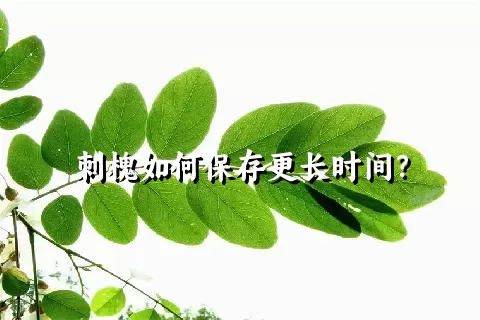 刺槐如何保存更长时间？