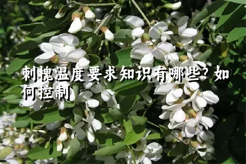 刺槐温度要求知识有哪些？如何控制