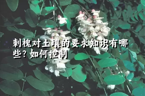 刺槐对土壤的要求知识有哪些？如何控制