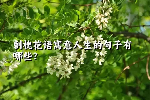 刺槐花语寓意人生的句子有哪些？