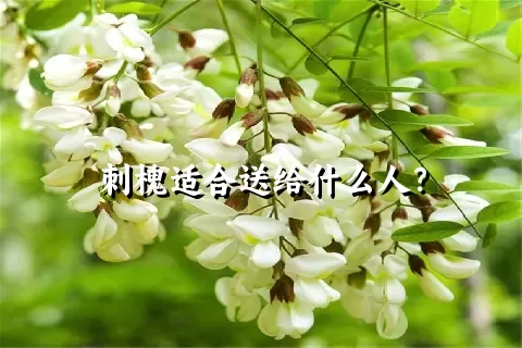 刺槐适合送给什么人？