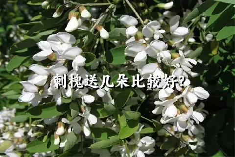 刺槐送几朵比较好？