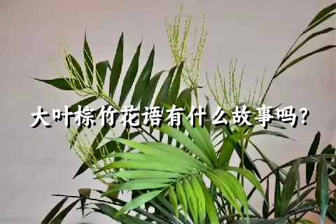 大叶棕竹花语有什么故事吗？