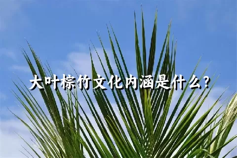 大叶棕竹文化内涵是什么？