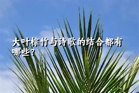 大叶棕竹与诗歌的结合都有哪些？