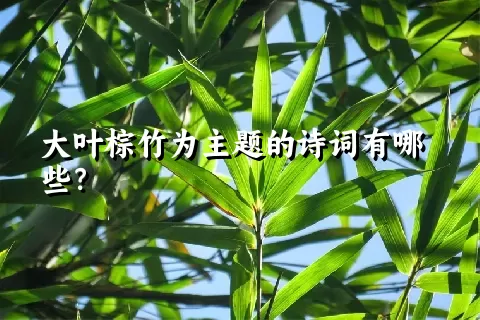 大叶棕竹为主题的诗词有哪些？