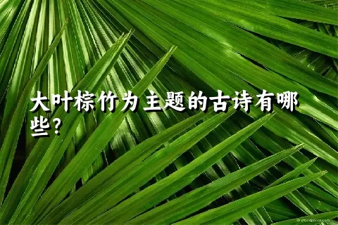 大叶棕竹为主题的古诗有哪些？