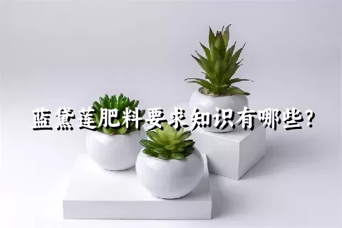 蓝黛莲肥料要求知识有哪些？