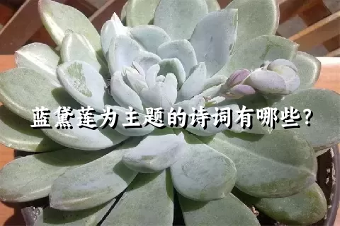 蓝黛莲为主题的诗词有哪些？