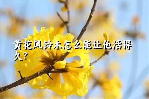 黄花风铃木怎么能让他活得久？