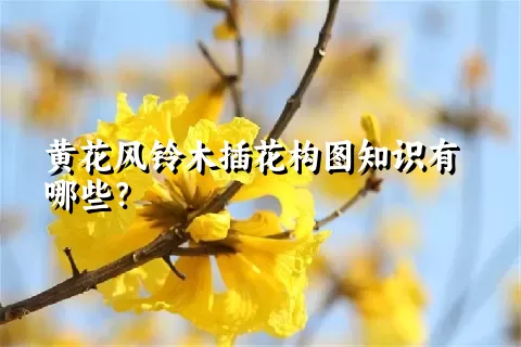 黄花风铃木插花构图知识有哪些？