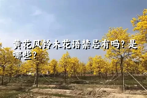 黄花风铃木花语禁忌有吗？是哪些？