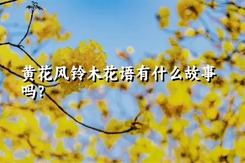 黄花风铃木花语有什么故事吗？