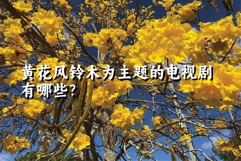 黄花风铃木为主题的电视剧有哪些？