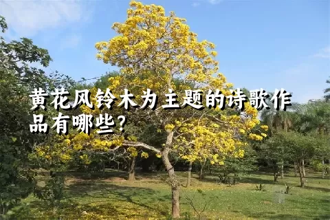 黄花风铃木为主题的诗歌作品有哪些？