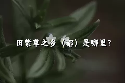 田紫草之乡（都）是哪里？