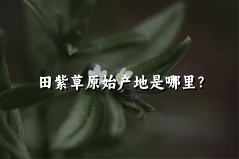 田紫草原始产地是哪里？