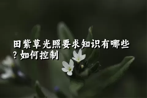 田紫草光照要求知识有哪些？如何控制