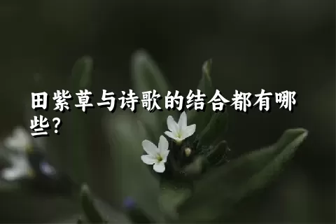 田紫草与诗歌的结合都有哪些？