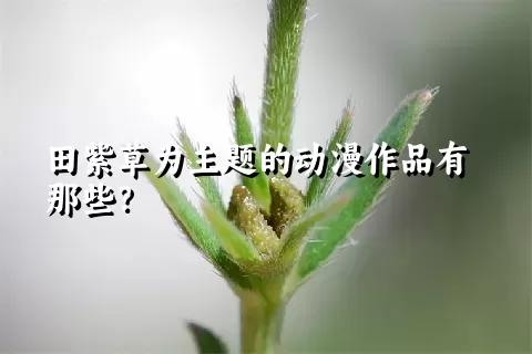 田紫草为主题的动漫作品有那些？