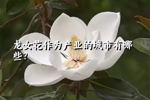 龙女花作为产业的城市有哪些？