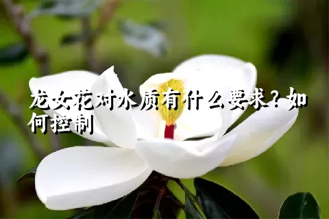 龙女花对水质有什么要求？如何控制