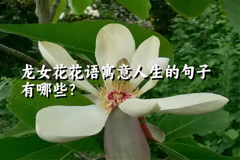 龙女花花语寓意人生的句子有哪些？