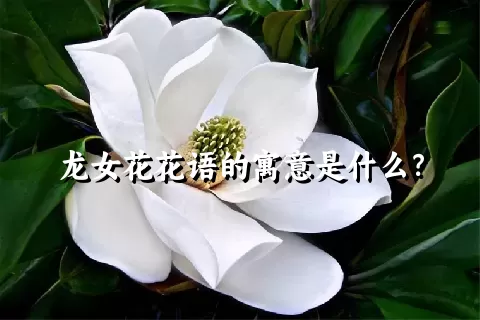 龙女花花语的寓意是什么？