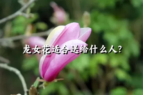 龙女花适合送给什么人？