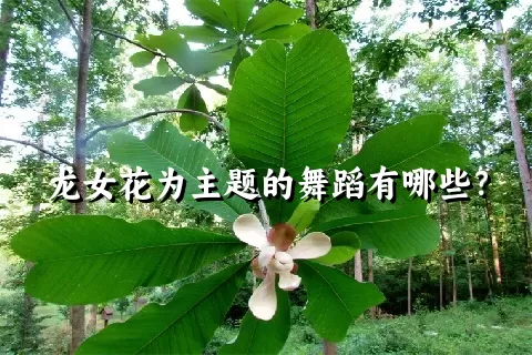 龙女花为主题的舞蹈有哪些？