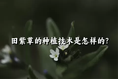 田紫草的种植技术是怎样的？