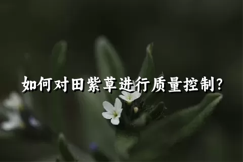 如何对田紫草进行质量控制？