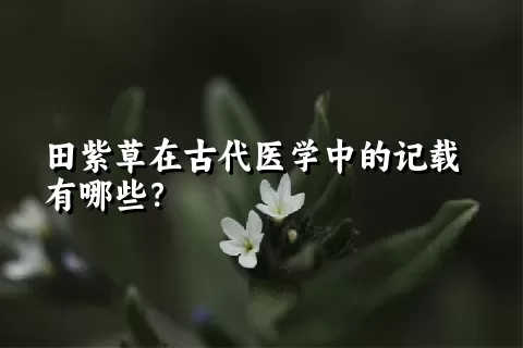 田紫草在古代医学中的记载有哪些？