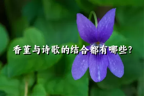 香堇与诗歌的结合都有哪些？