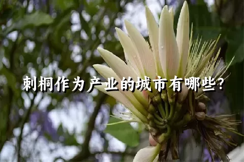 刺桐作为产业的城市有哪些？