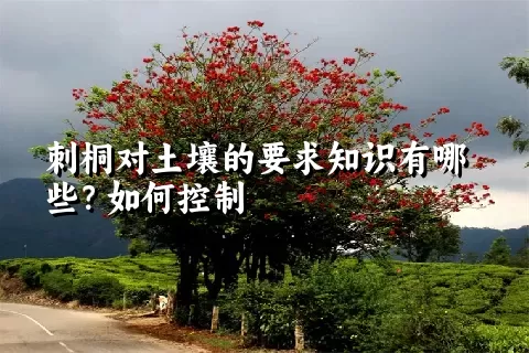 刺桐对土壤的要求知识有哪些？如何控制