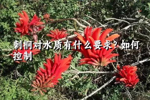 刺桐对水质有什么要求？如何控制