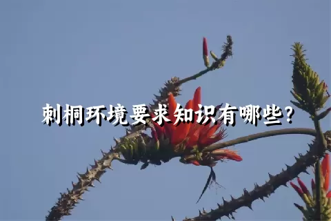 刺桐环境要求知识有哪些？